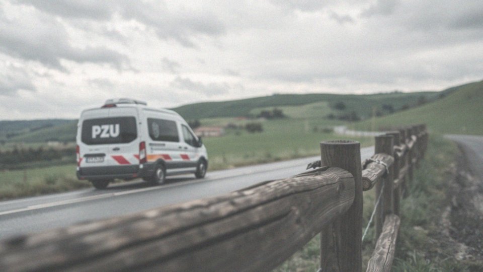Jakie usługi oferuje PZU Assistance w przypadku problemów za granicą?