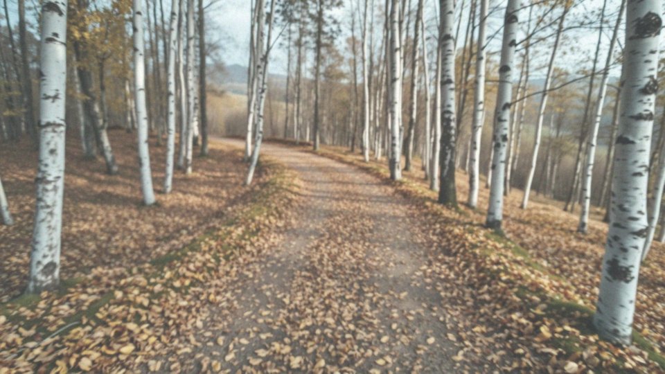 Jakie są korzyści z chodzenia codziennie?