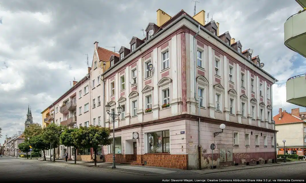 Ogłoszenie o ofercie realizacji rozgrywek ligowych koszykarskiej Stali Brzeg